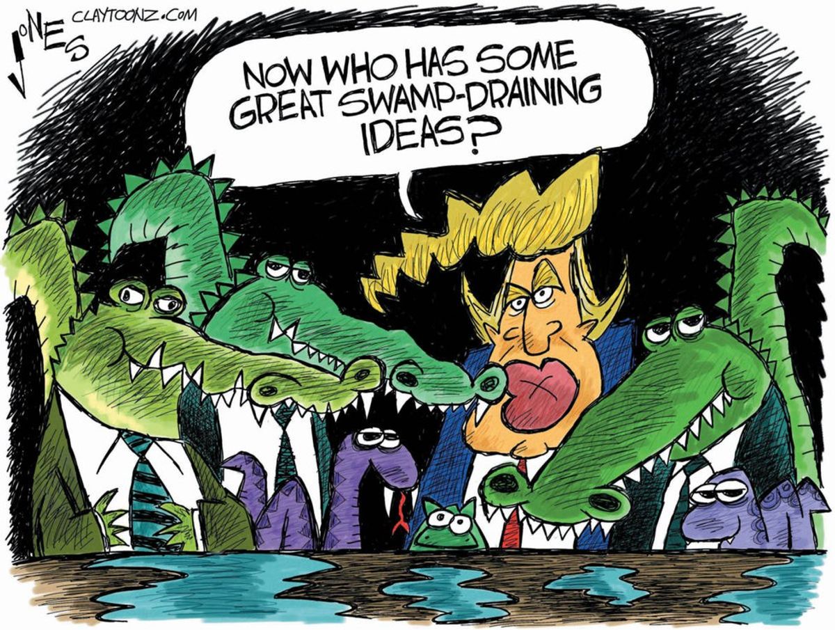 Donald Trump: Professional Business Man, Horrible Swamp Drainer