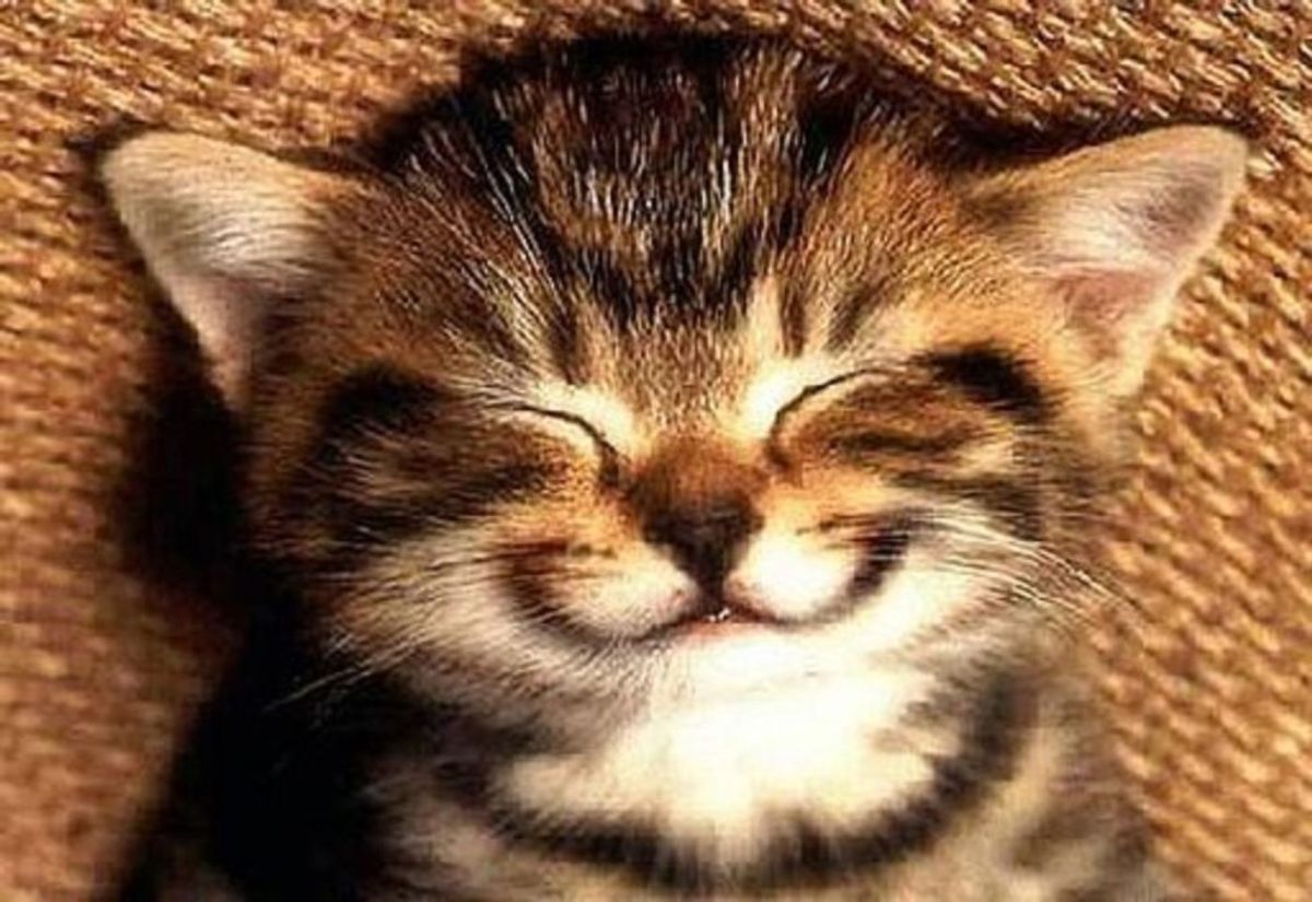 20 Little Things That Never Fail To Make You Smile