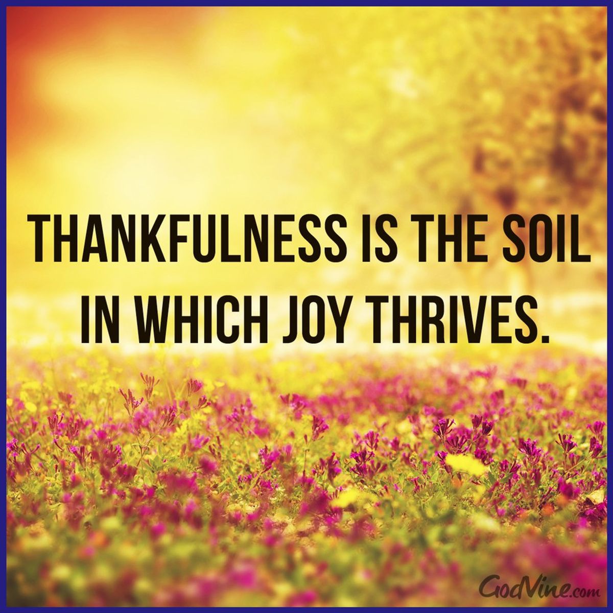 The Art of Thankfulness