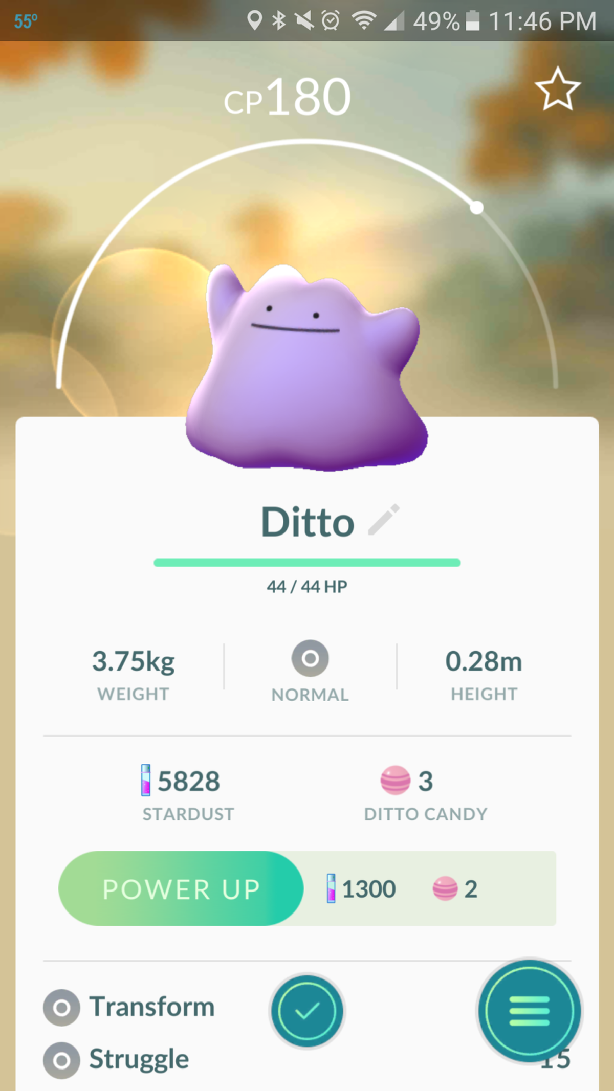 Ditto Has Arrived