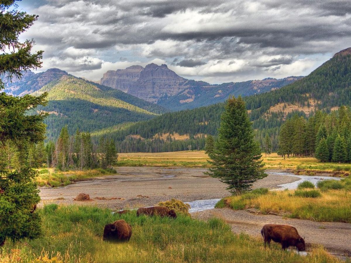 America’s Best National Parks
