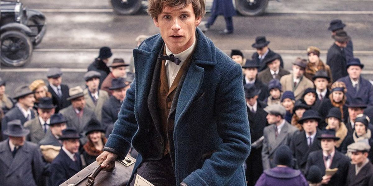 Why Newt Scamander Is The Protagonist Harry Potter Fans Needed