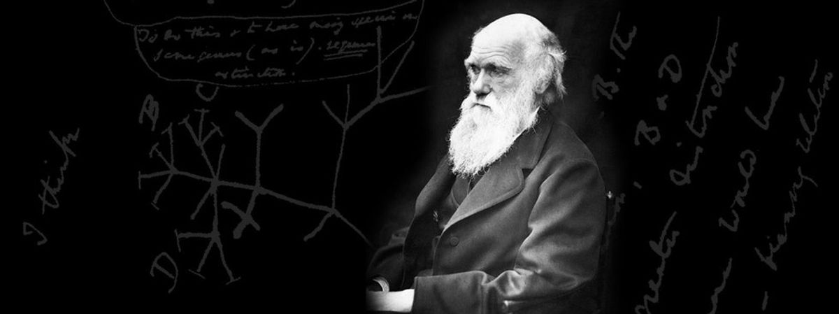 Darwinian Misconception - On the Origin of the Theory