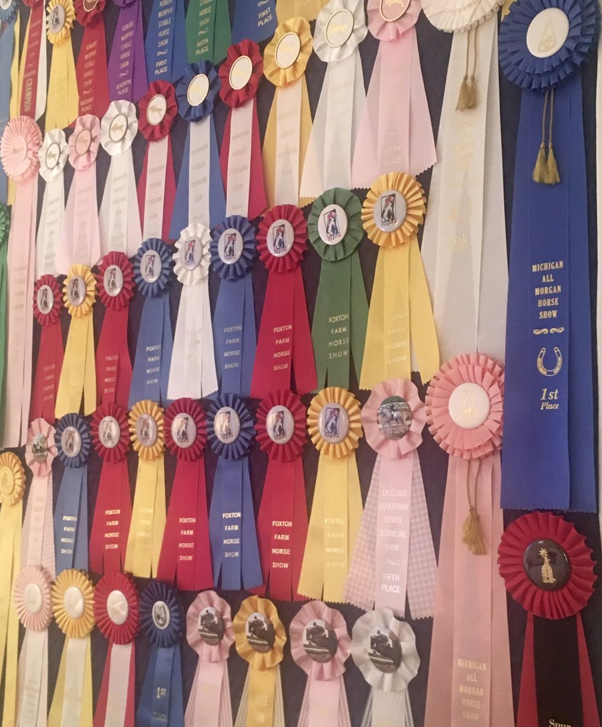 What Riding and Showing Horses Taught Me