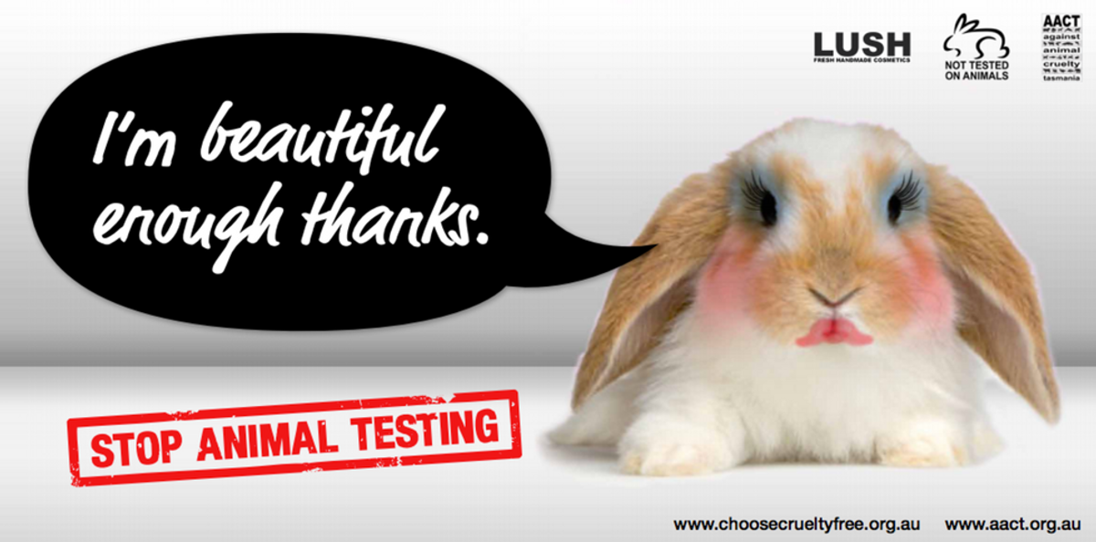 Why Animal Testing Should Be Abolished Worldwide