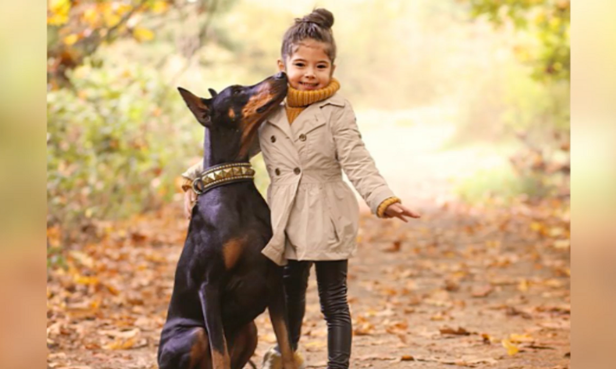 Little Girl's Love For Her Doberman Is All Of Us With Our Pets