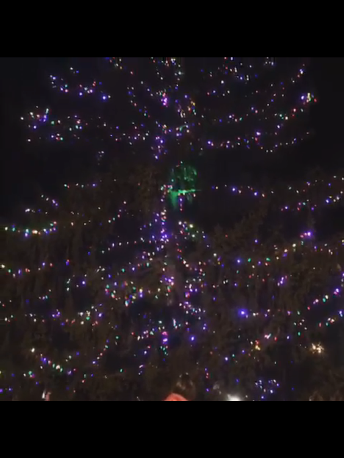 The magic of a Christmas tree lighting