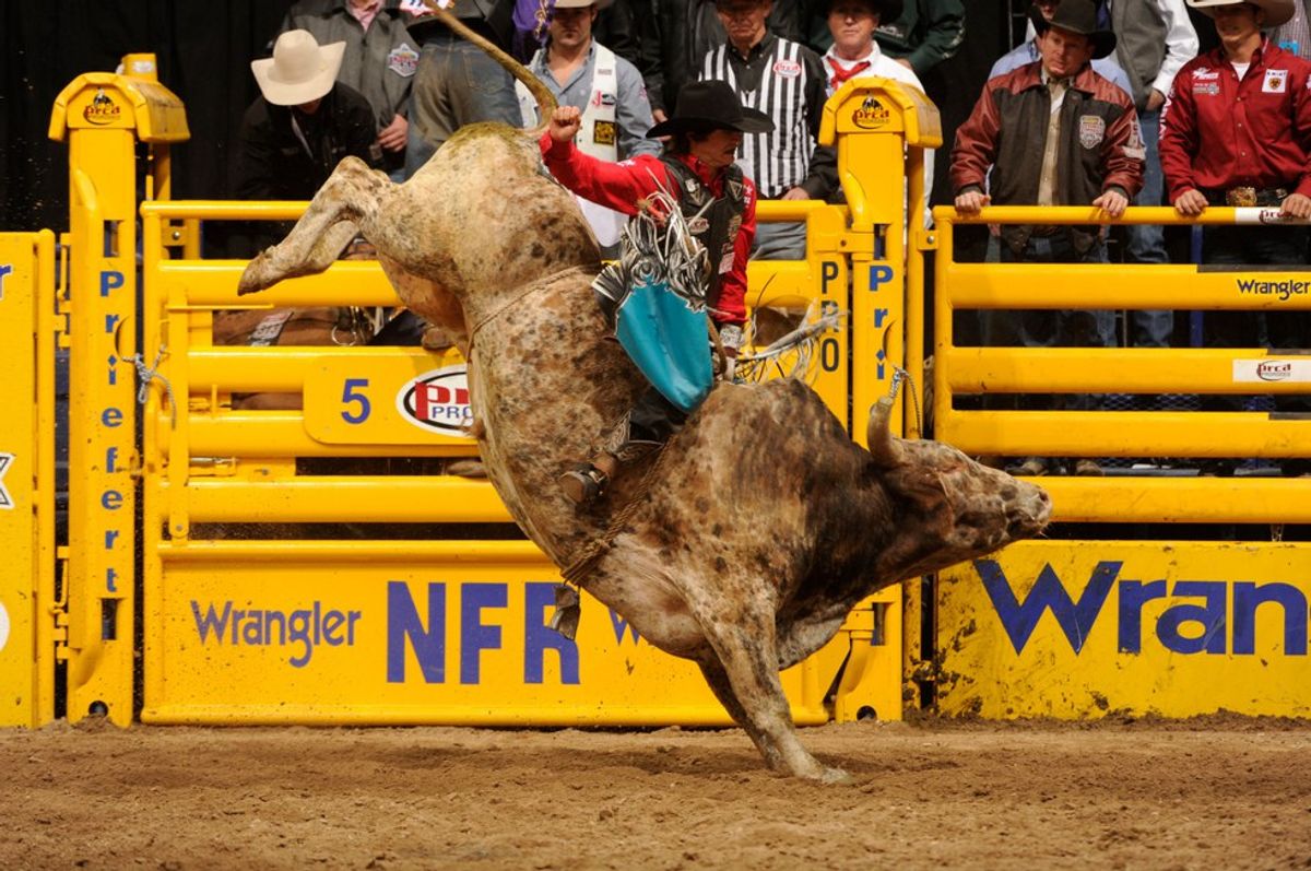 5 Reasons The NFR Is The Place To Be