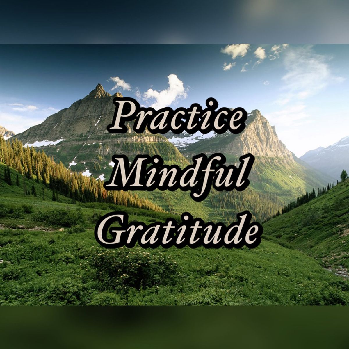 Mindful Gratitude - Creating A Life Worth Living