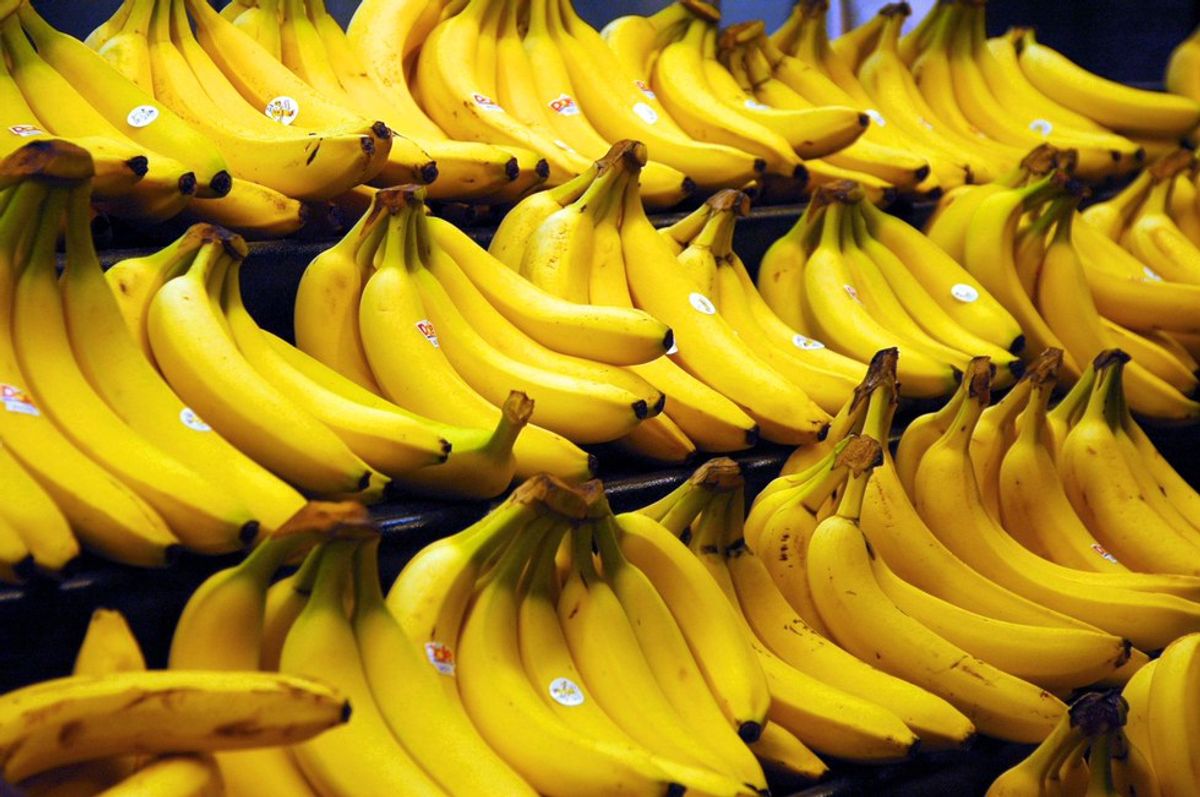 The Price We Pay for Cheap Bananas