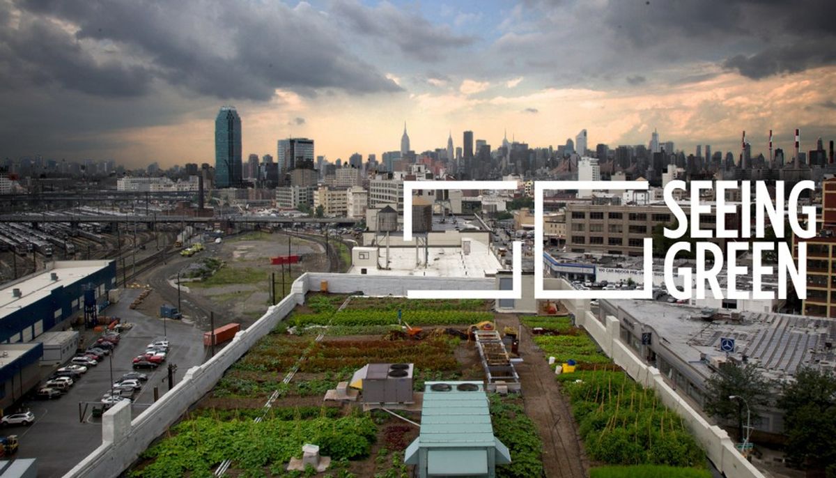 Urban Agriculture in the Cement Jungle