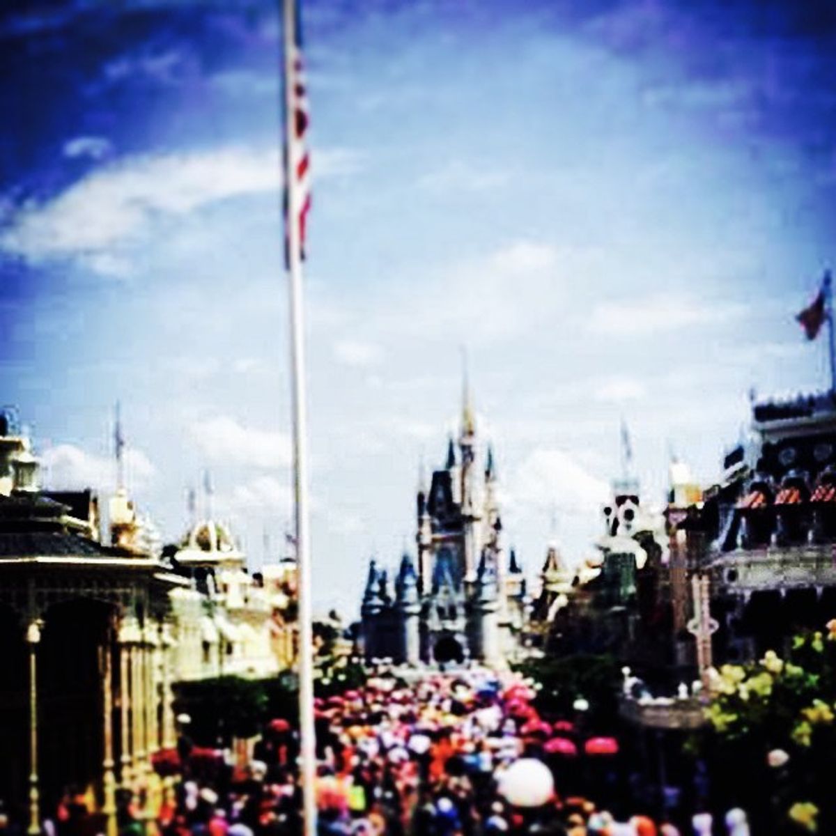 10 Tips About The Disney College Program