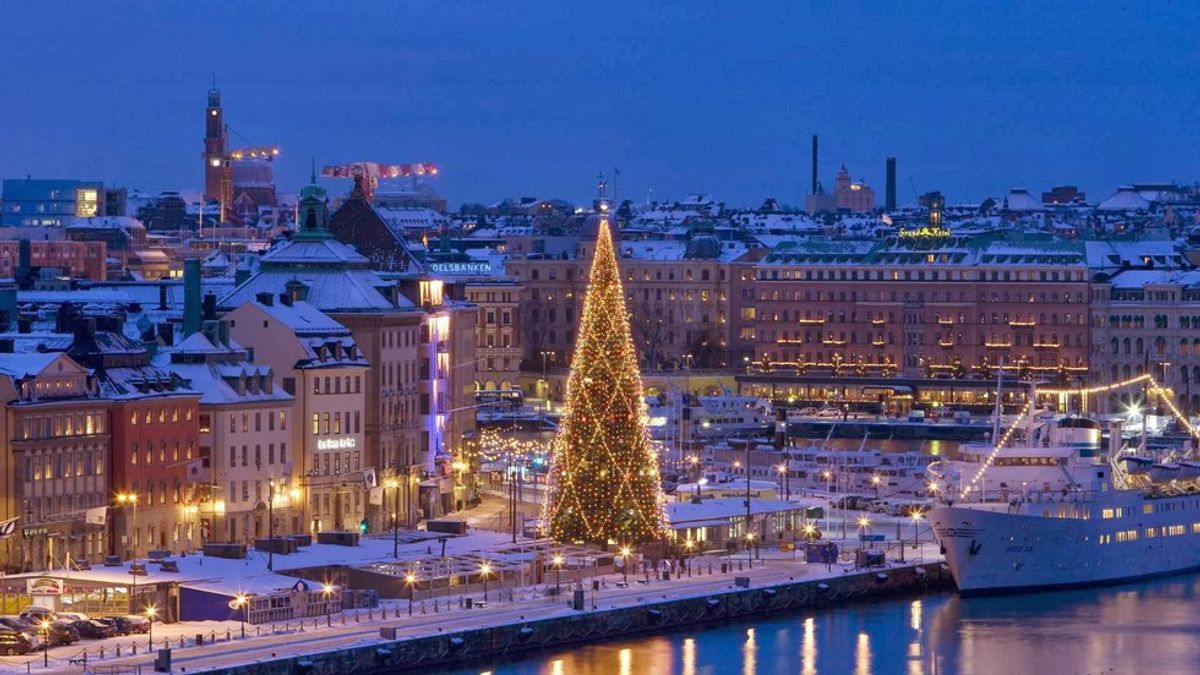 7 Most Beautiful Christmas Trees in the World