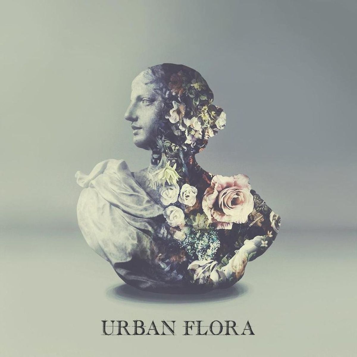 Pass The Aux Albums: Urban Flora