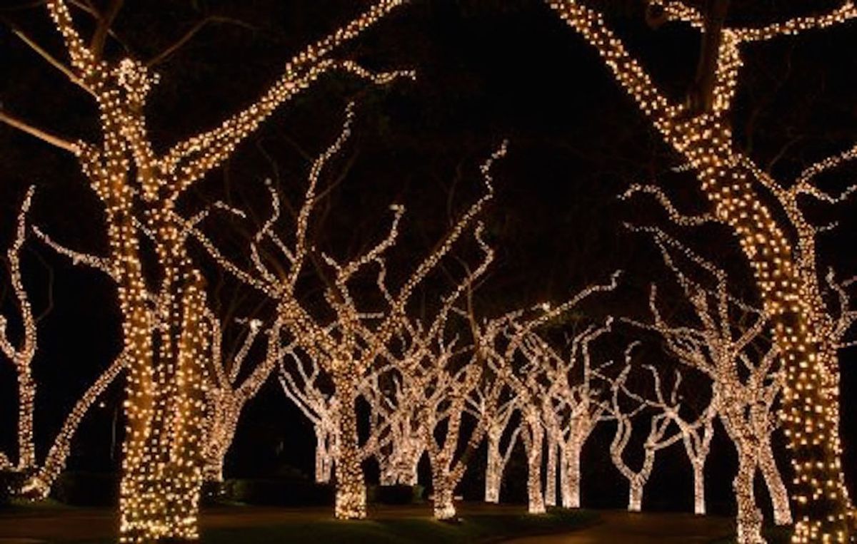 Best Places To Look At Christmas Lights In Tallahassee