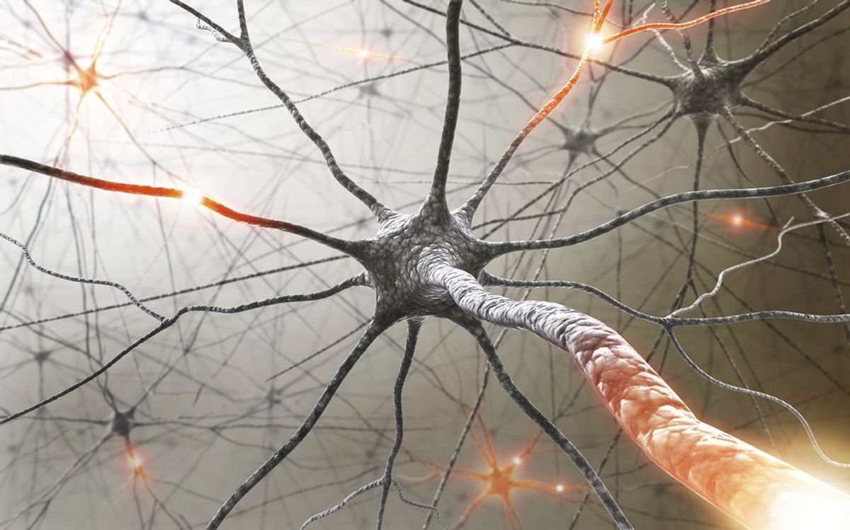 What You Need To Know About Multiple Sclerosis