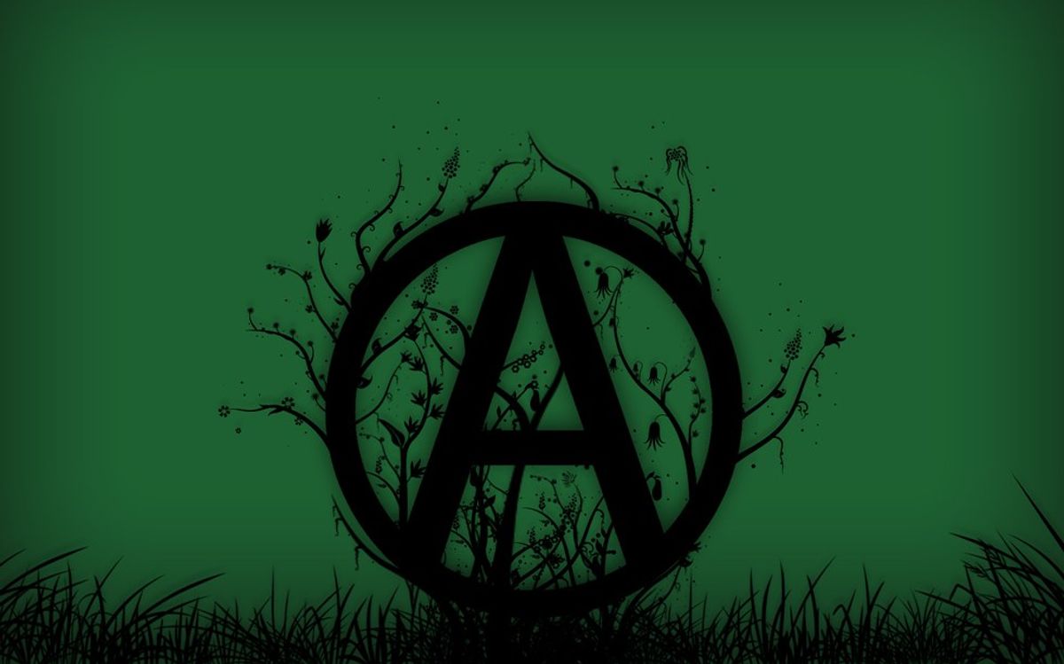 What Is Anarchy?