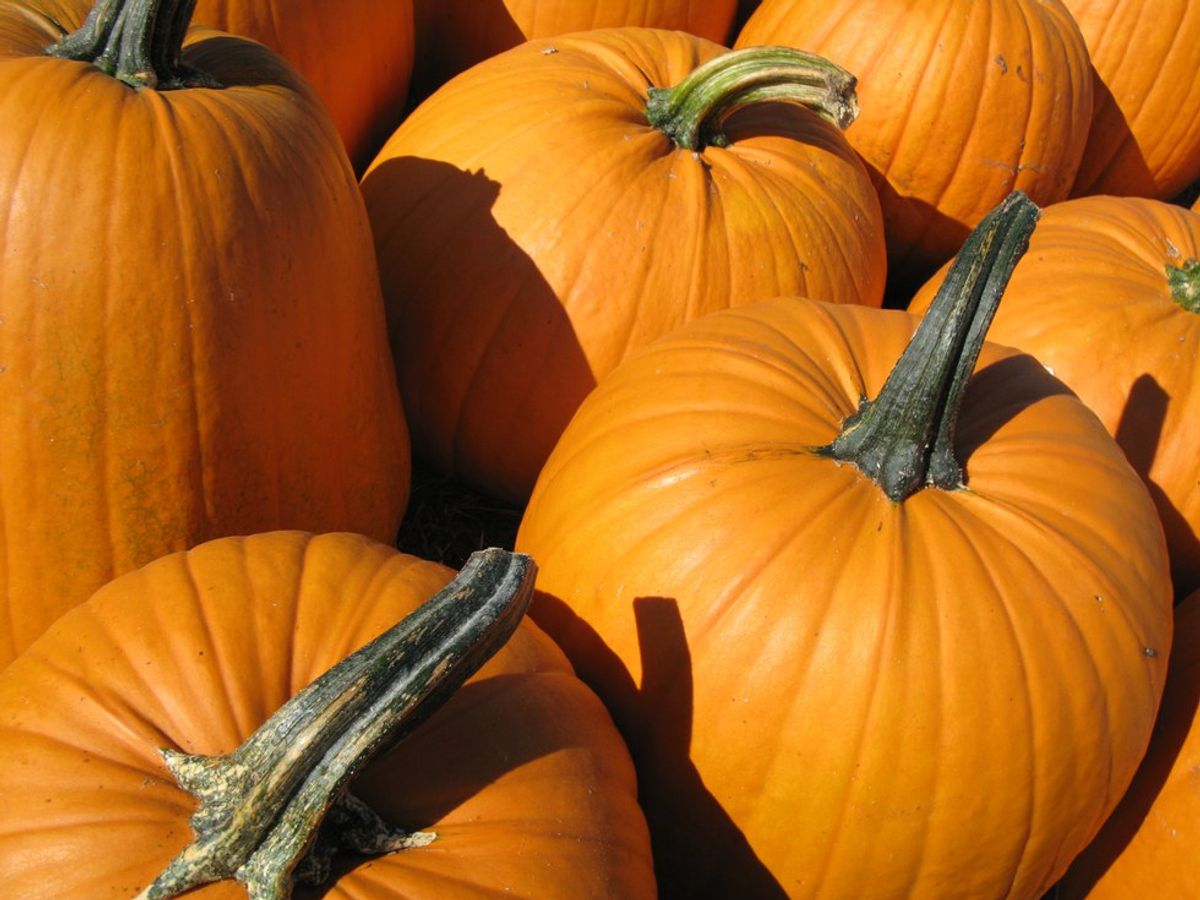 The Story Of The 22 Rotting Pumpkins