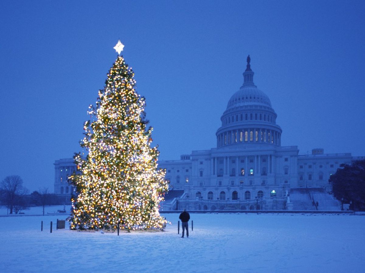 5 Cheap Holiday Fun-tivities in D.C.