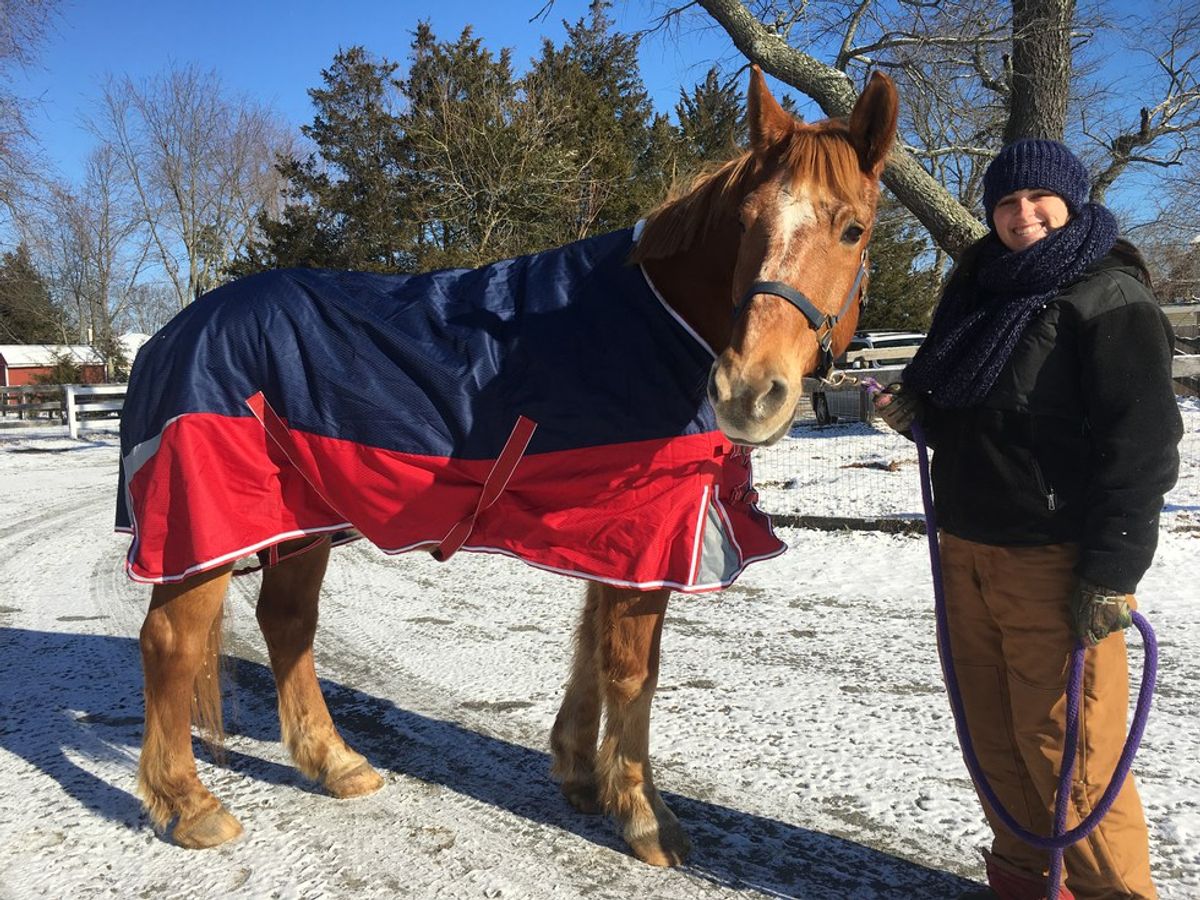 10 Reasons Why Equestrians Don't Like Winter