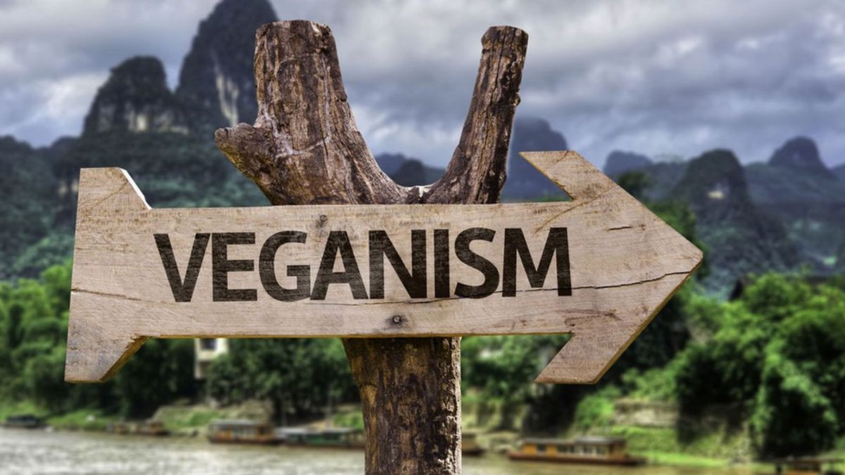 Veganism Is Not A Diet, It Is A Lifestyle