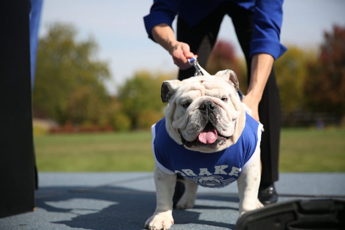 21 Things You Know To Be True If You Go To Drake University