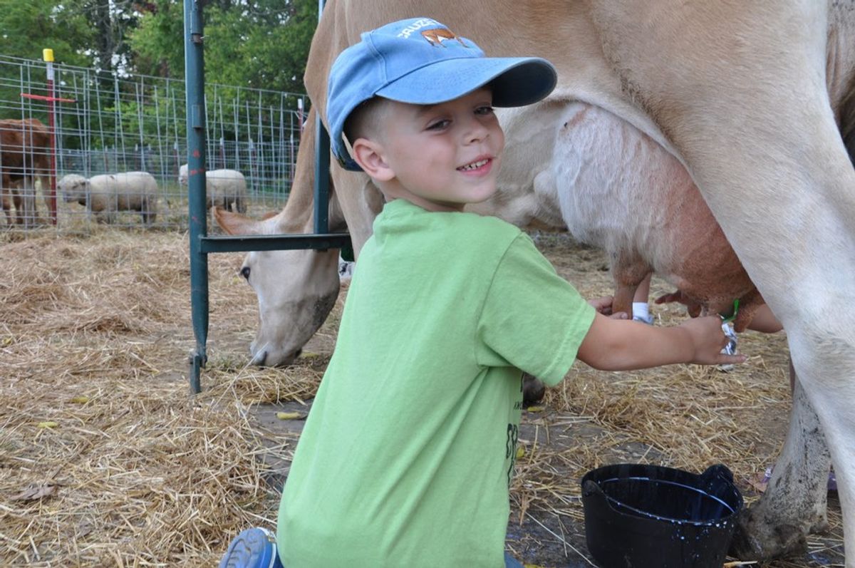 9 Things You Learn Growing Up On A Dairy Farm