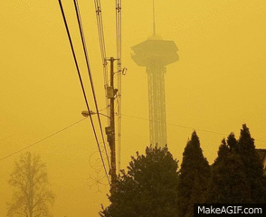 Gatlinburg, The Aftermath - Road To Recovery
