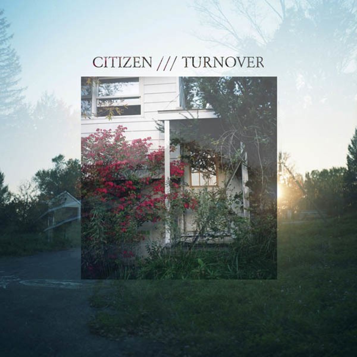 Citizen and Turnover