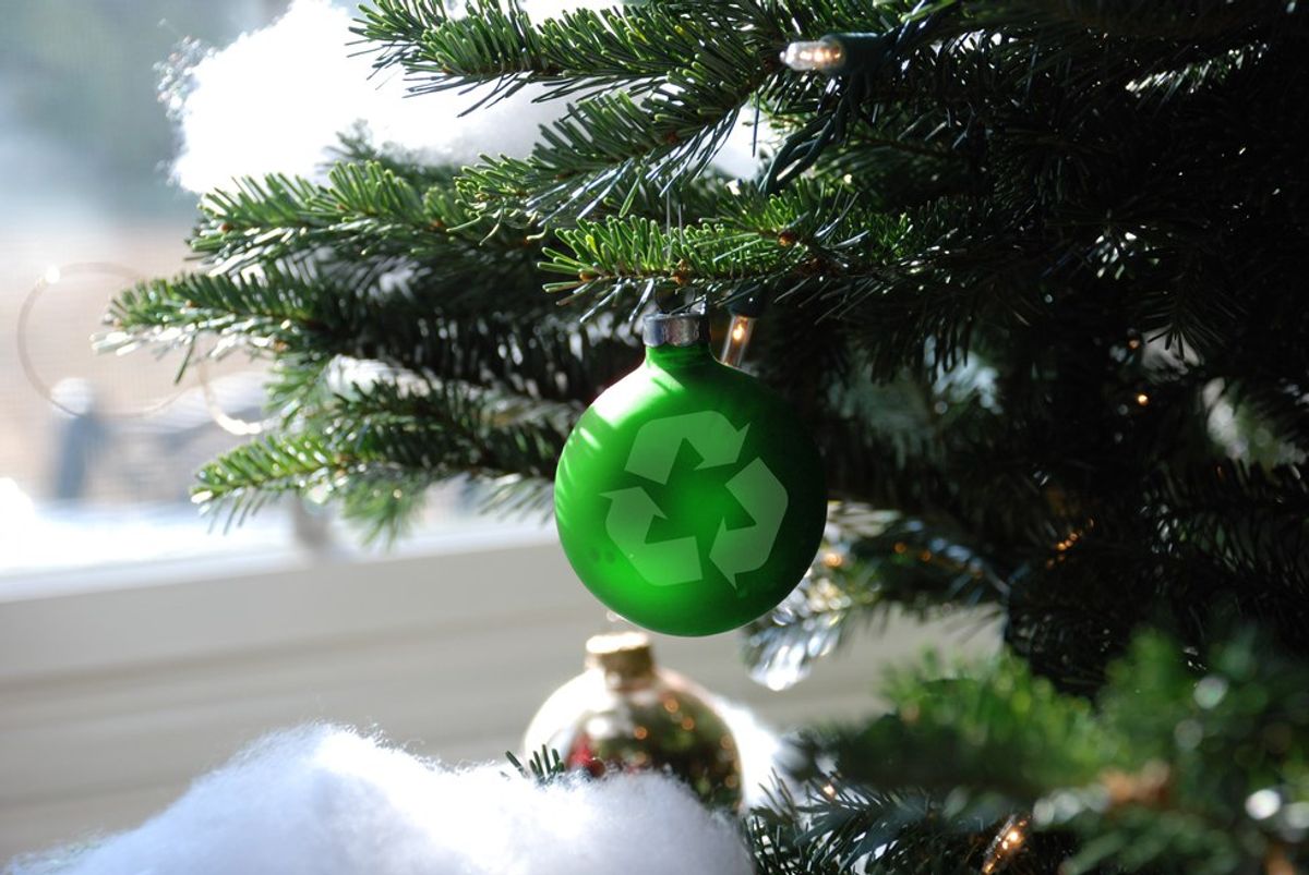 10 Tips To Have A Greener Holiday