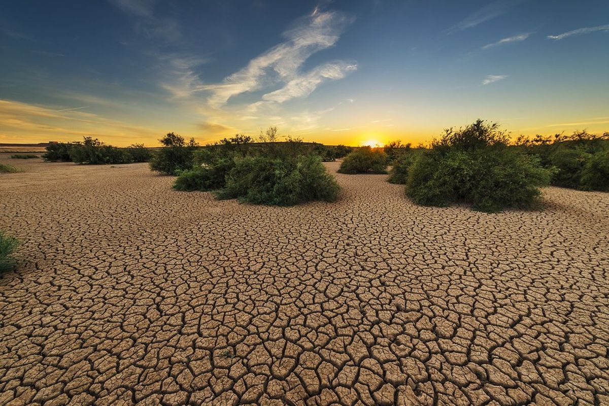 What's Really Going On With The California Drought