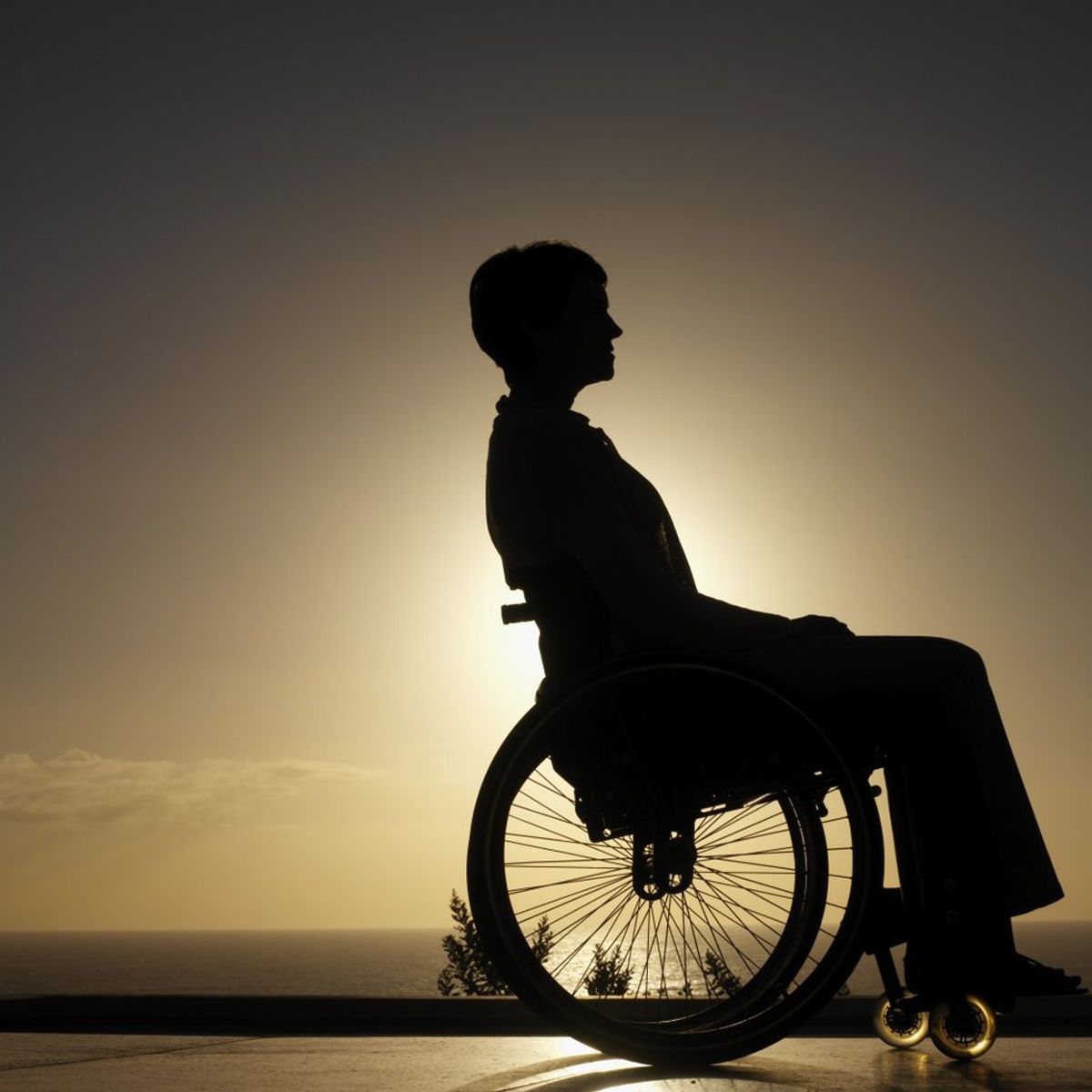Physical Disability Discrimination