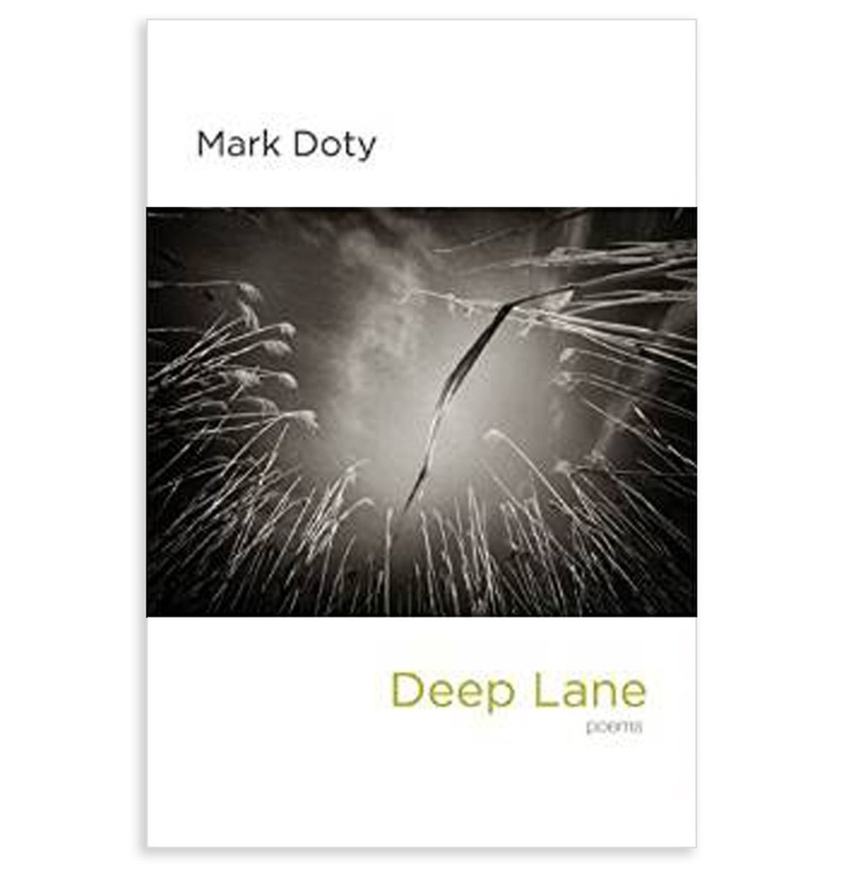 Rerouting The Path: Mark Doty's Deep Lane