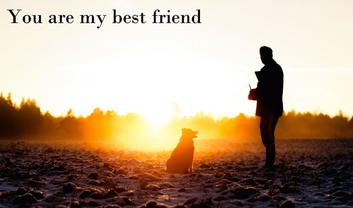 12 Reasons My Dog Is My Best Friend