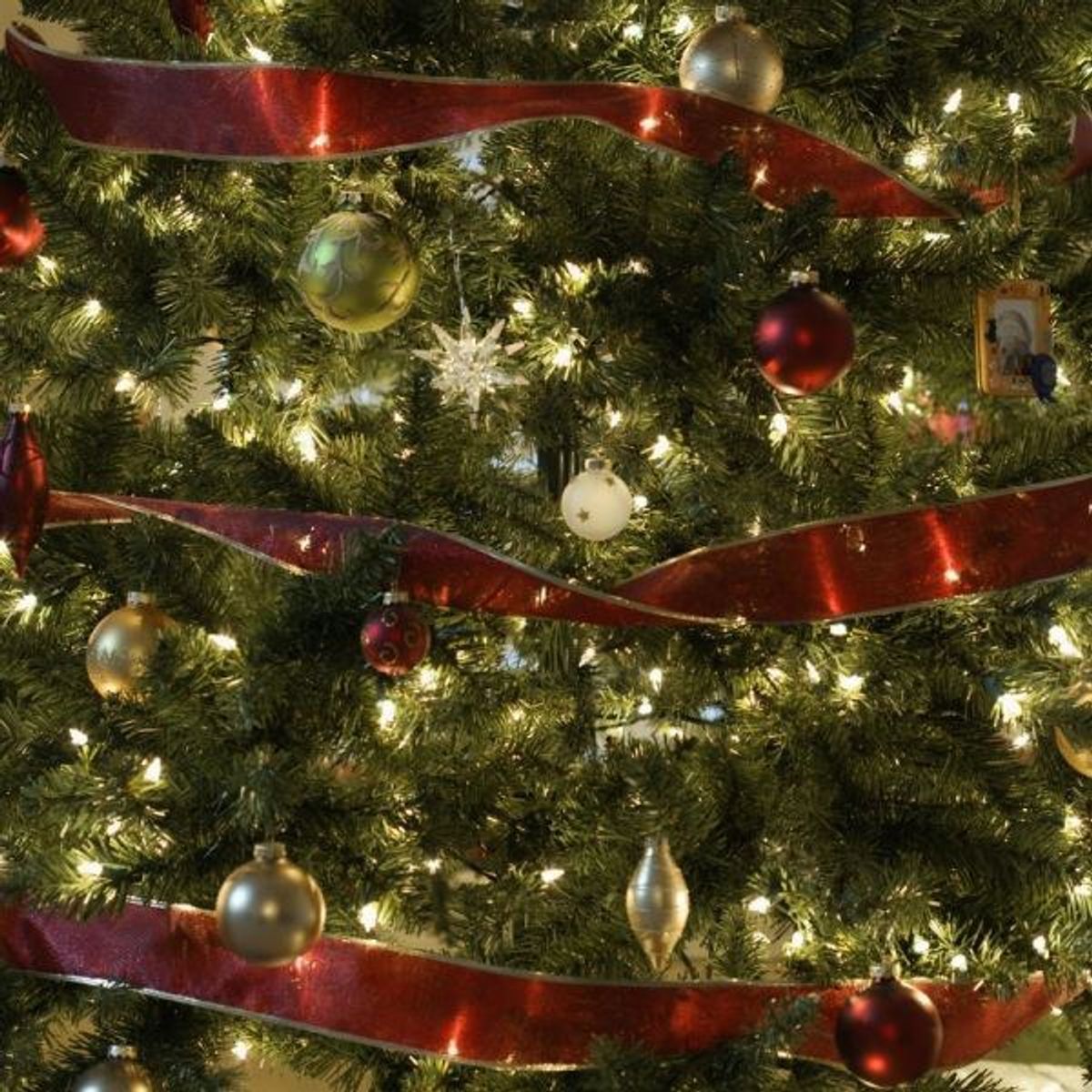 Nine Vines To Get You In The Holiday Spirit!