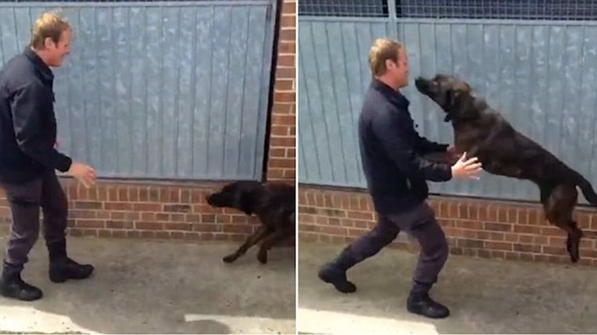 Heartwarming Reunion Between Policeman & His Dog