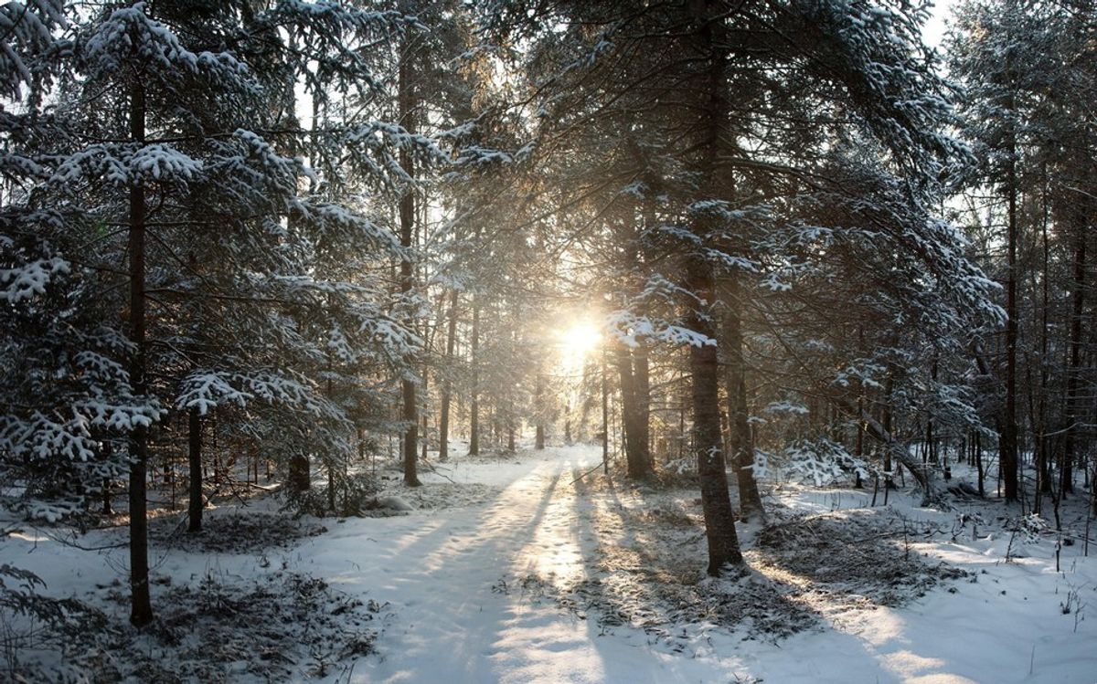 12 Truths To Wisconsin Winters