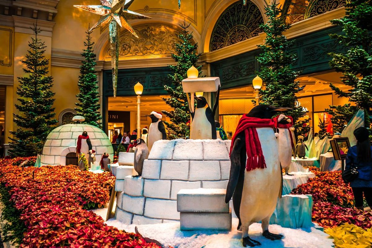 15 Things To Do For Christmas In Las Vegas