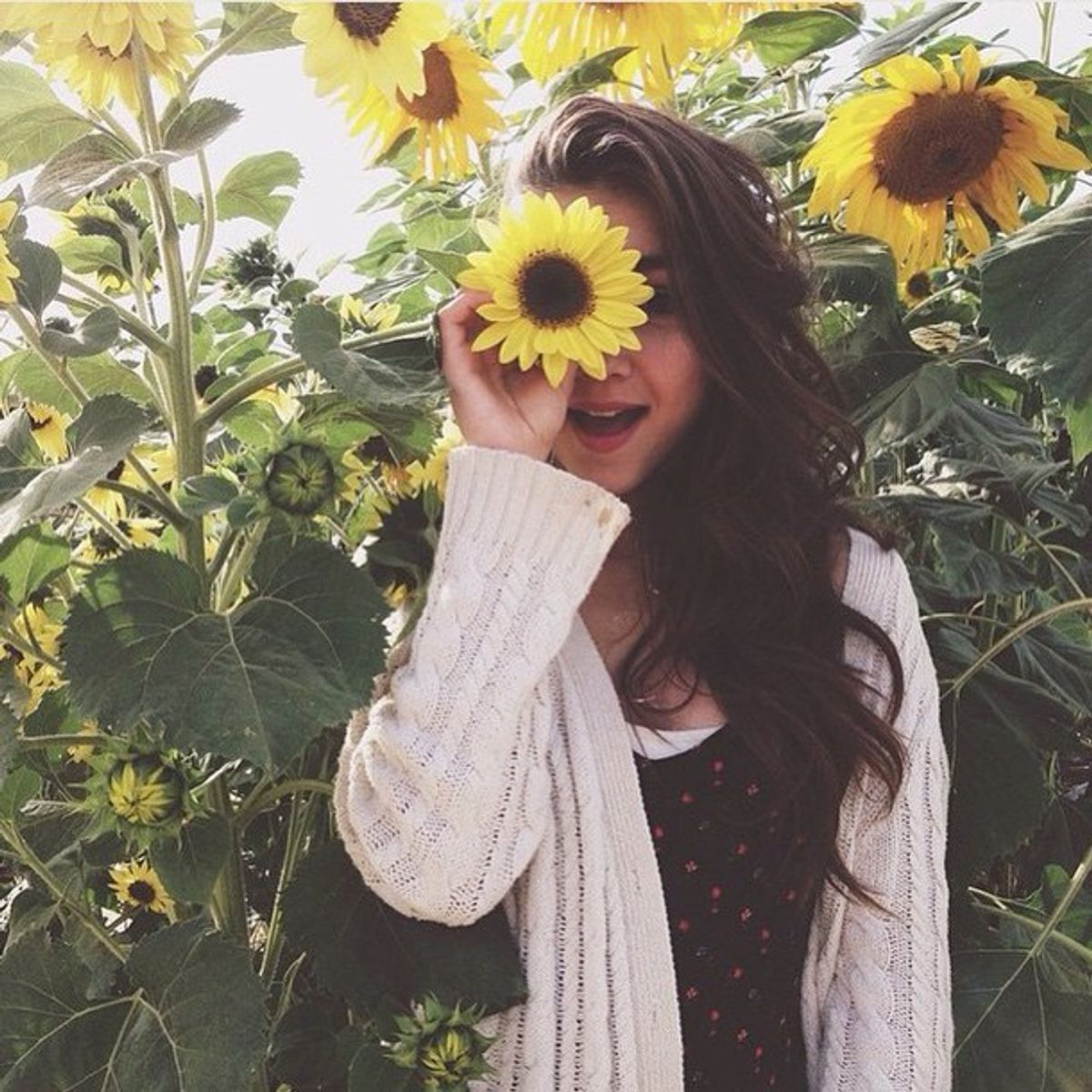 Why You Need To Be A Sunflower, Not A Doormat