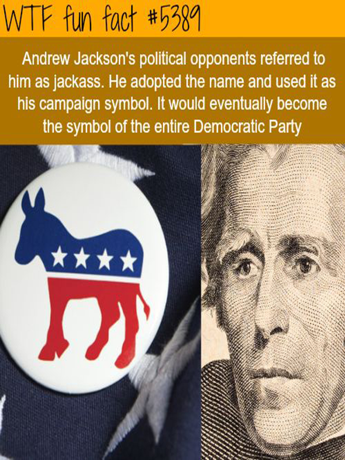 The Death Of The Democratic Party
