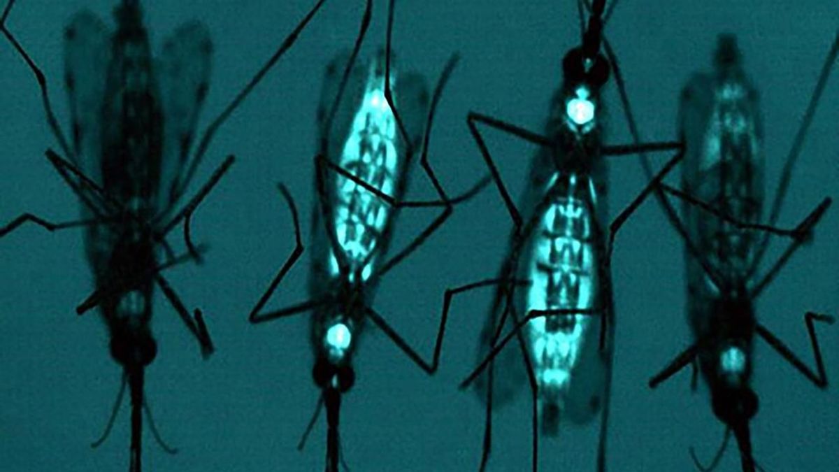 Gene Drives: The Future Of Biology