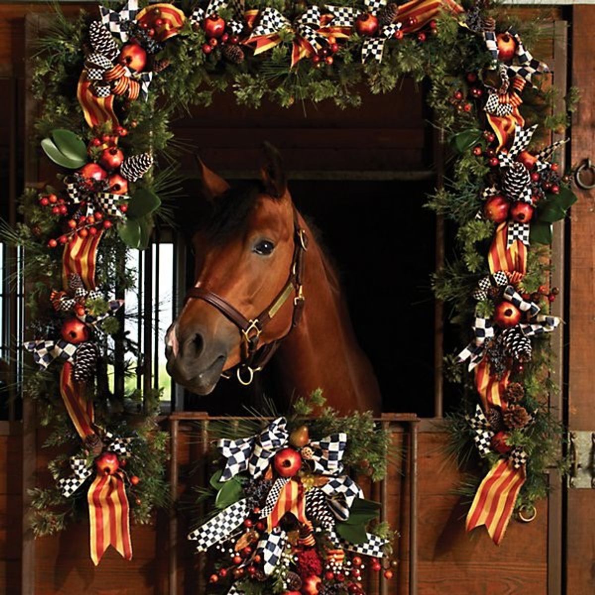 20 Christmas Gifts Your Horse Actually Wants