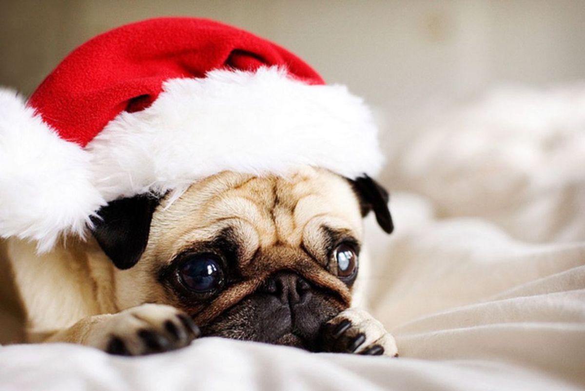Not So Merry: 7 Tips to Deal With Depression This Holiday Season