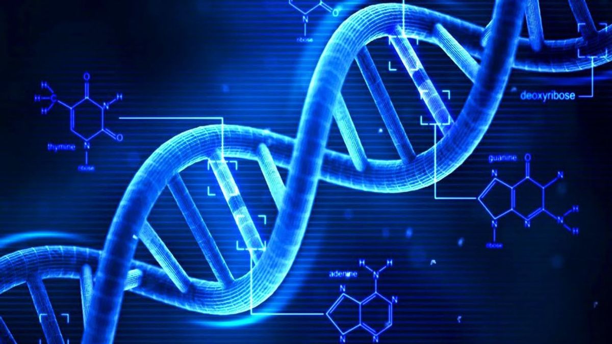 DNA And Heritage - How A Simple Test Completely Changed The Way I See Myself