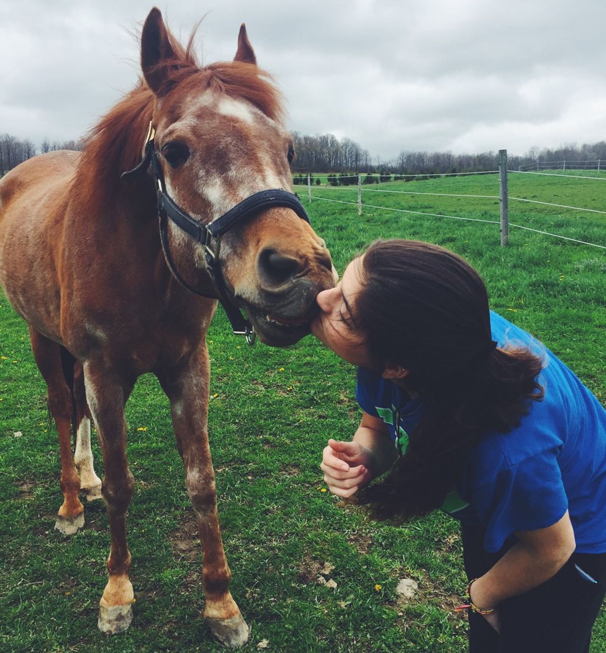 An Open Letter to My Once In A Lifetime Horse