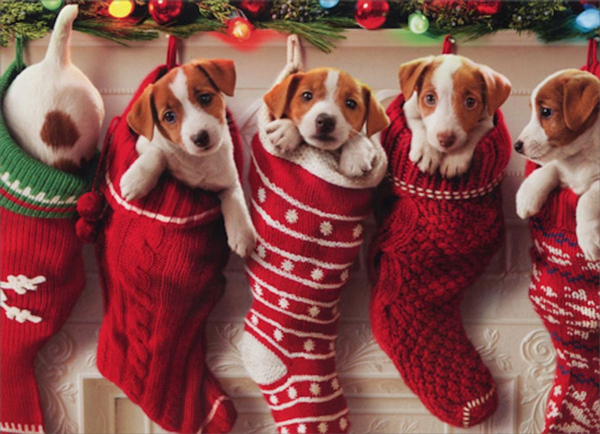 Puppies To Cheer You Up Around The Holidays