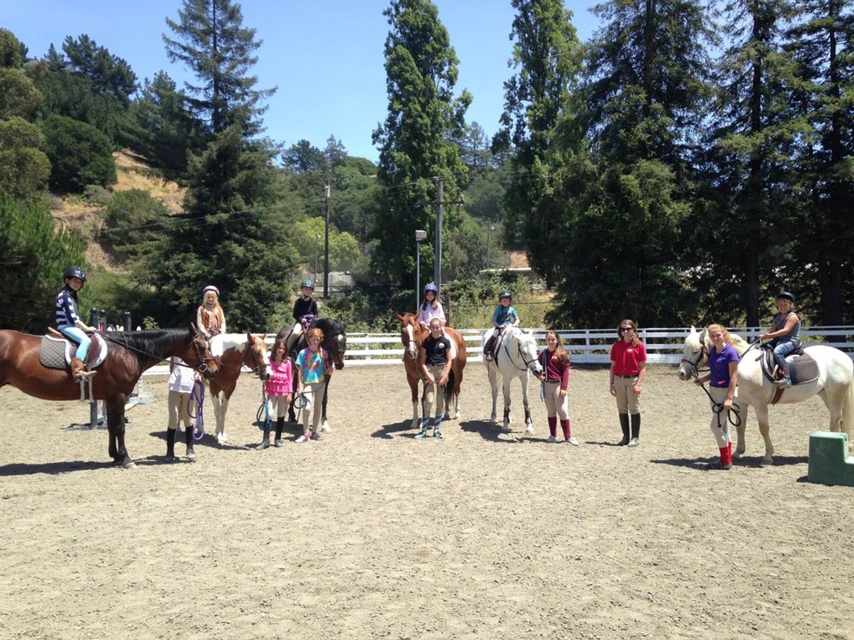 The Joys of Teaching Children Through Horses