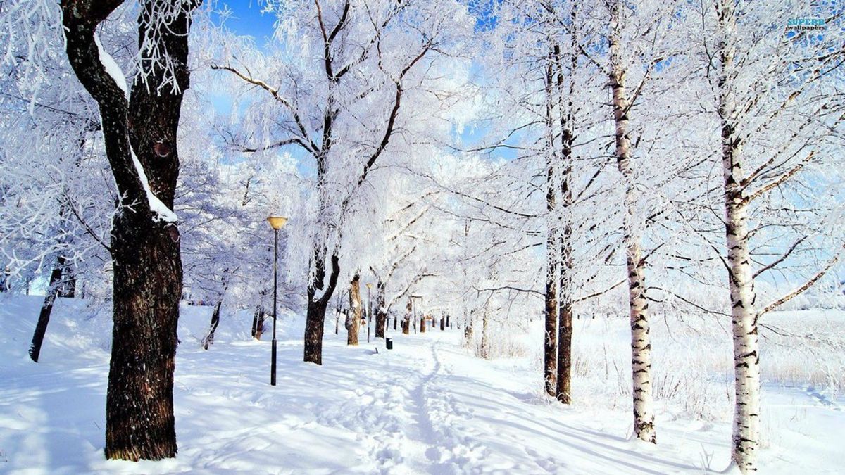 7 Reasons To Love Winter