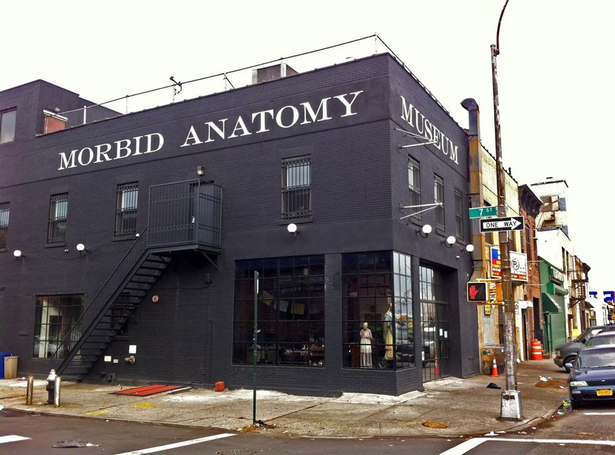 Morbid Anatomy Museum Shuts Down