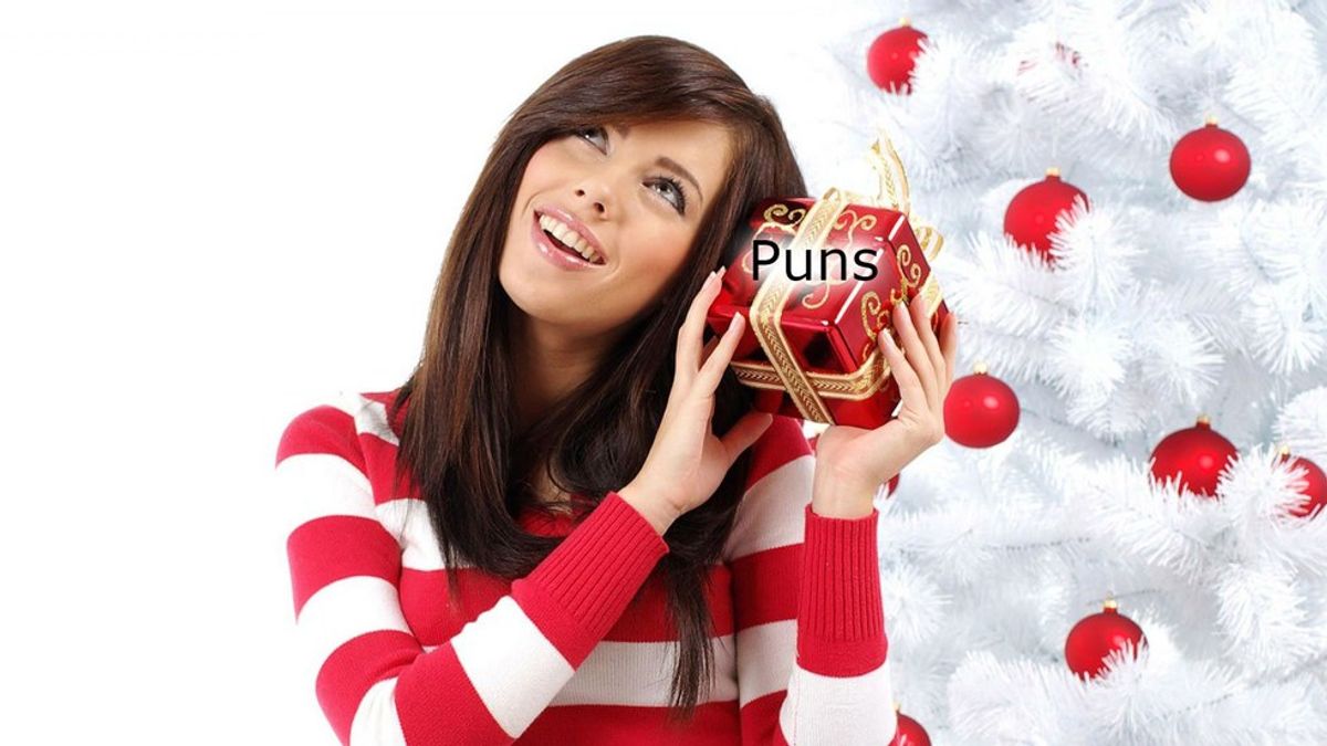 The 12 Puns of Christmas: 12 Puns for Everyone at Your Christmas Gathering